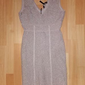 Bcbg fitted silver dress